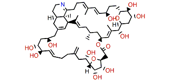 Prorocentrolide C